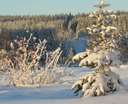 Winter im Erzgebirge (© Gabi S / piqs.de)